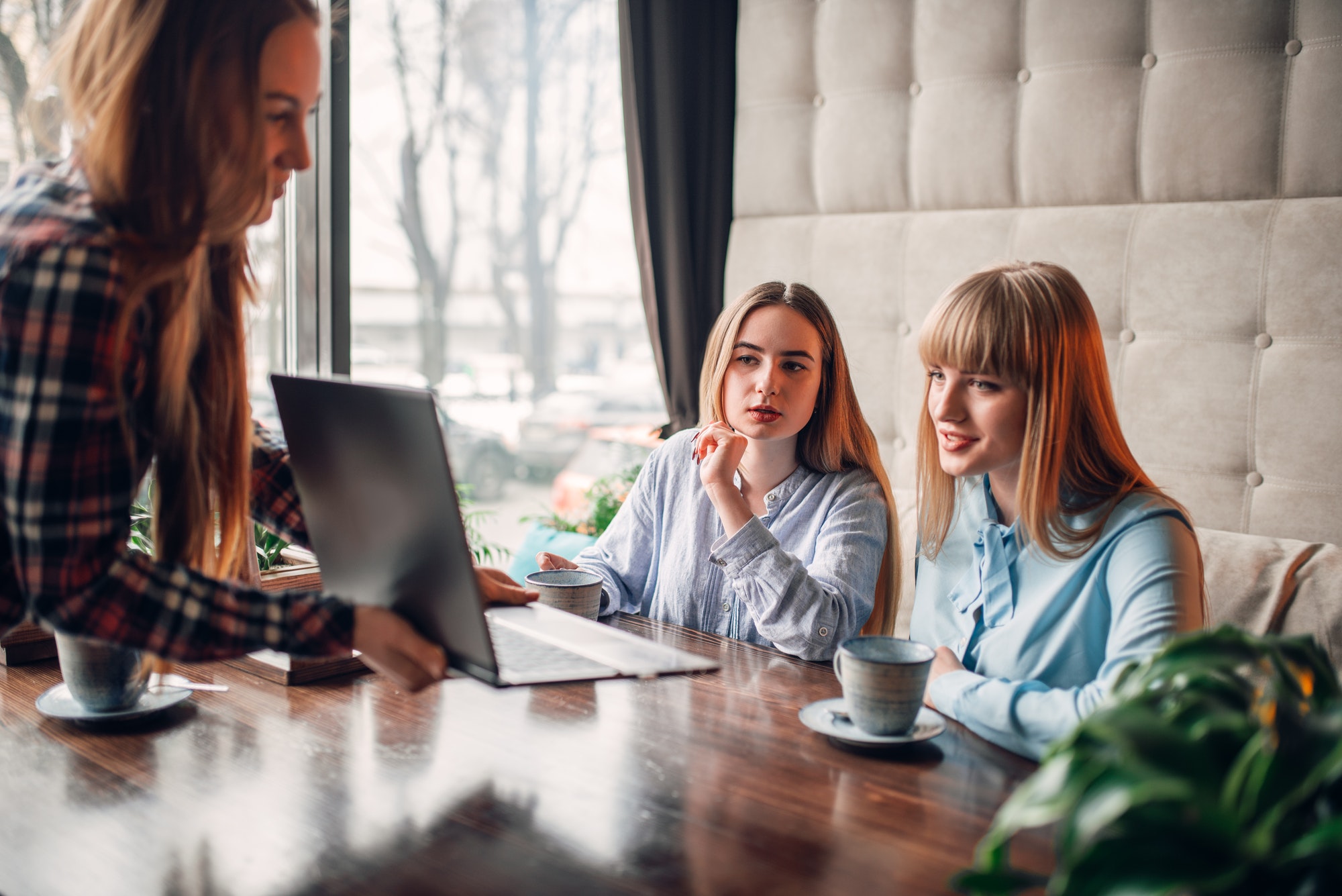 Business presentation on laptop in cafe, marketing